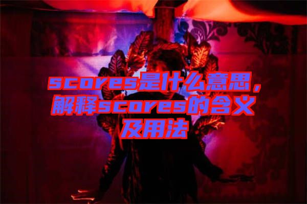 scores是什么意思，解釋scores的含義及用法