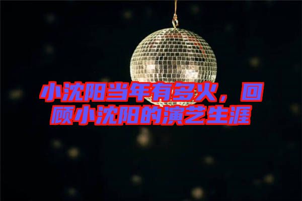 小沈陽當(dāng)年有多火，回顧小沈陽的演藝生涯