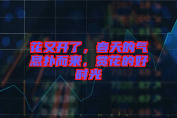 花又開(kāi)了，春天的氣息撲而來(lái)，賞花的好時(shí)光