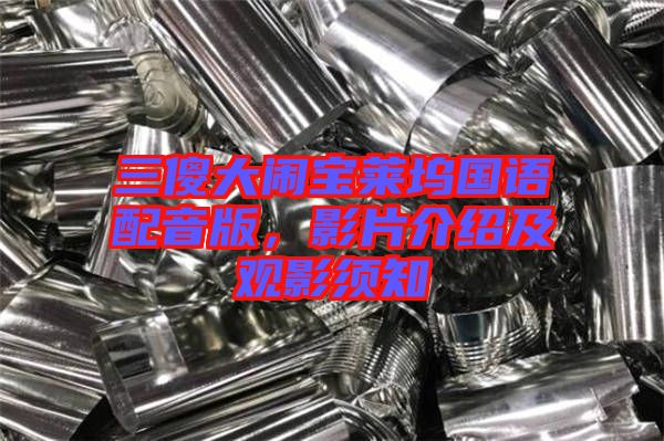 三傻大鬧寶萊塢國(guó)語配音版，影片介紹及觀影須知