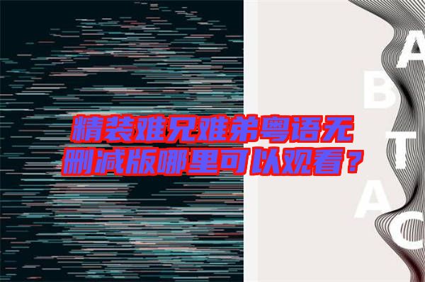 精裝難兄難弟粵語無刪減版哪里可以觀看？