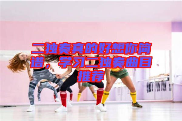 二獨奏真的好想你簡譜，學(xué)習(xí)二獨奏曲目推薦