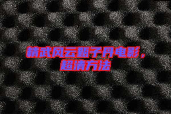 精武風(fēng)云甄子丹電影，超清方法