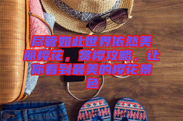 盡管如此世界依然美麗櫻花，賞櫻攻略，讓你看到最美的櫻花景色