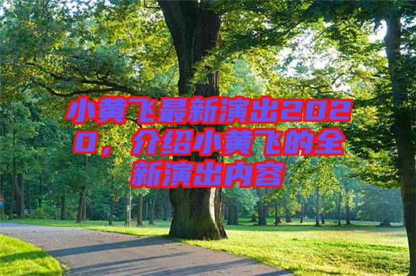 小黃飛最新演出2020，介紹小黃飛的全新演出內(nèi)容