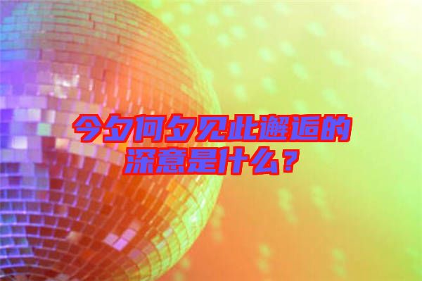 今夕何夕見此邂逅的深意是什么？
