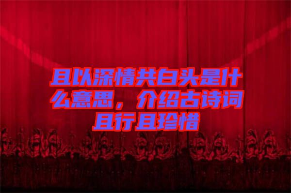 且以深情共白頭是什么意思，介紹古詩詞且行且珍惜