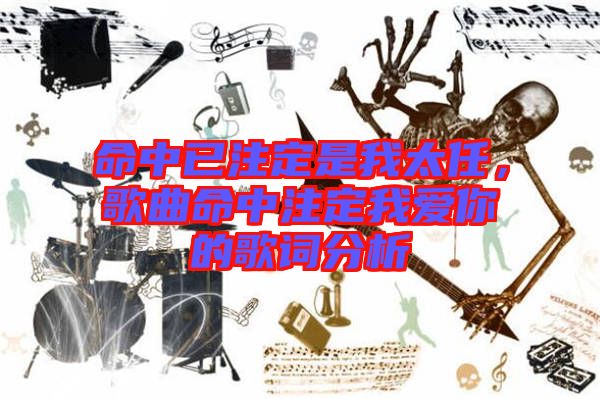 命中已注定是我太任，歌曲命中注定我愛(ài)你的歌詞分析