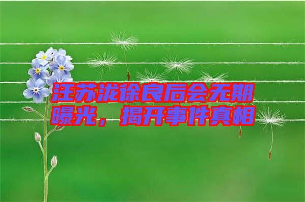 汪蘇瀧徐良后會(huì)無期曝光，揭開事件真相