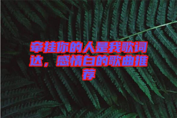 牽掛你的人是我歌詞達(dá)，感情白的歌曲推薦