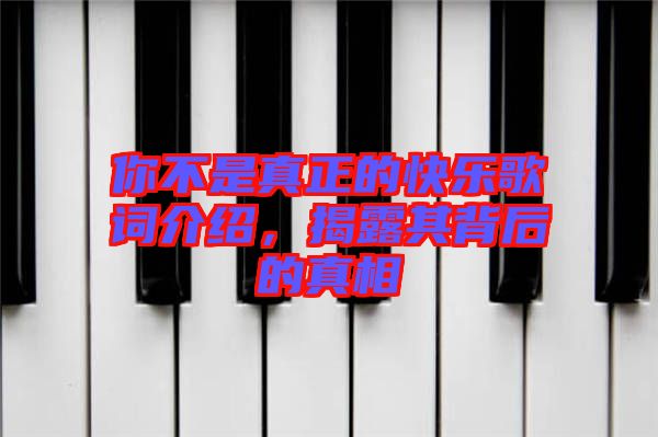 你不是真正的快樂歌詞介紹，揭露其背后的真相