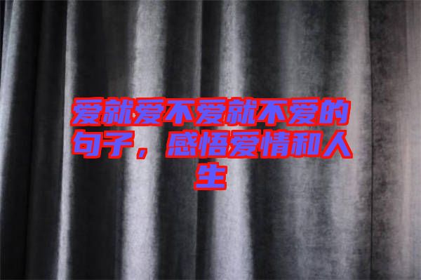 愛就愛不愛就不愛的句子，感悟愛情和人生