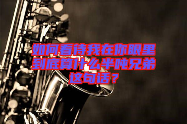 如何看待我在你眼里到底算什么半噸兄弟這句話？