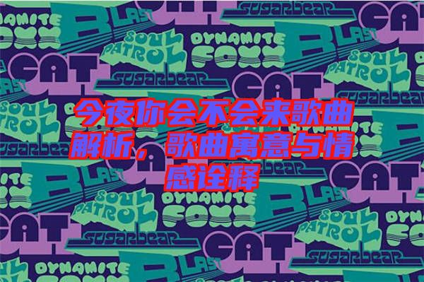 今夜你會(huì)不會(huì)來歌曲解析，歌曲寓意與情感詮釋