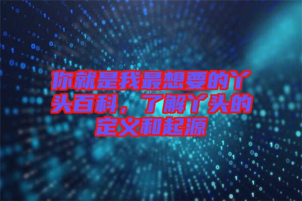 你就是我最想要的丫頭百科，了解丫頭的定義和起源