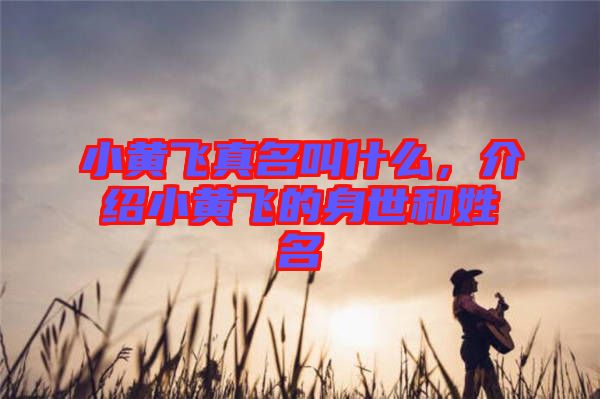 小黃飛真名叫什么，介紹小黃飛的身世和姓名