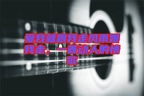 愛我就跟我走風雨跟我走，一首動人的情歌