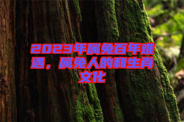 2023年屬兔百年難遇，屬兔人的和生肖文化