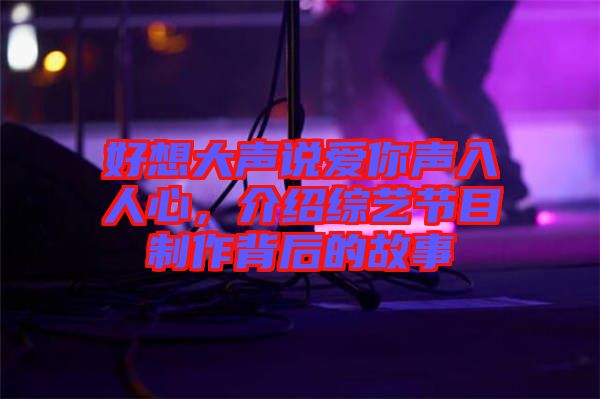 好想大聲說愛你聲入人心，介紹綜藝節(jié)目制作背后的故事