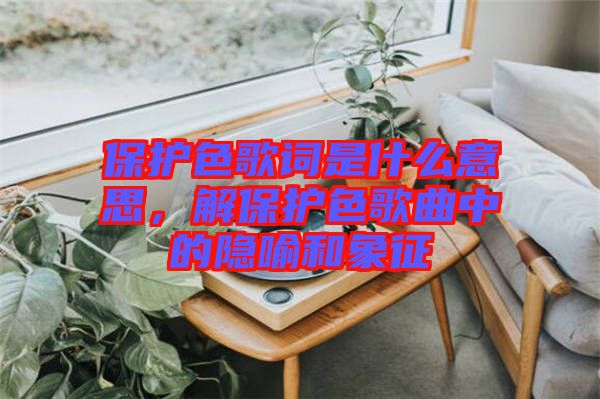 保護(hù)色歌詞是什么意思，解保護(hù)色歌曲中的隱喻和象征
