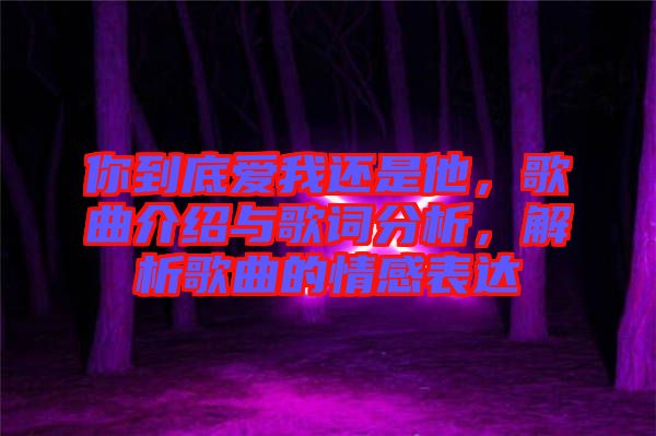 你到底愛我還是他，歌曲介紹與歌詞分析，解析歌曲的情感表達(dá)