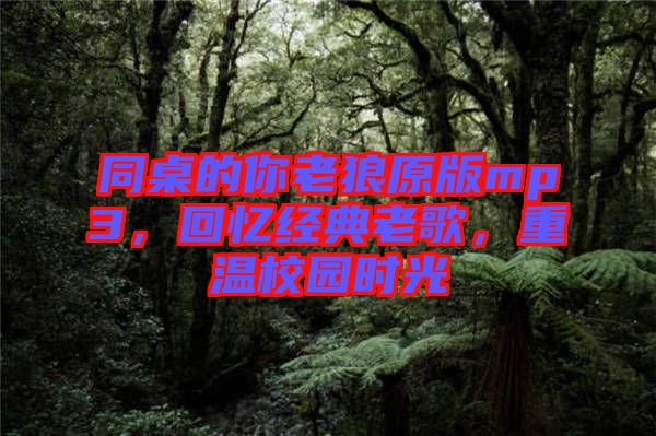 同桌的你老狼原版mp3，回憶經(jīng)典老歌，重溫校園時(shí)光