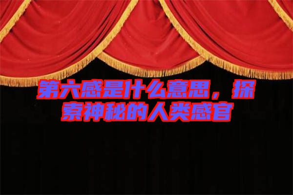第六感是什么意思，探索神秘的人類感官