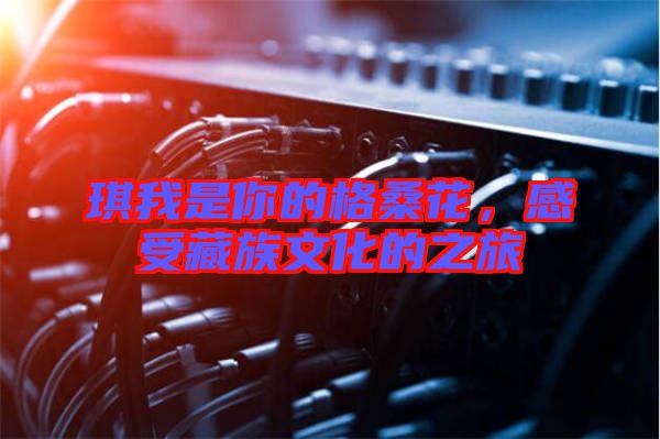 琪我是你的格桑花，感受藏族文化的之旅
