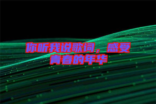 你聽我說歌詞，感受青春的年華