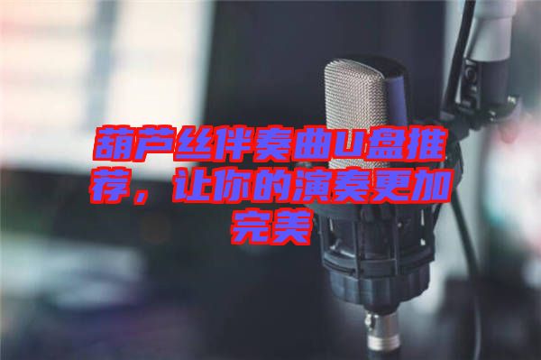 葫蘆絲伴奏曲U盤推薦，讓你的演奏更加完美