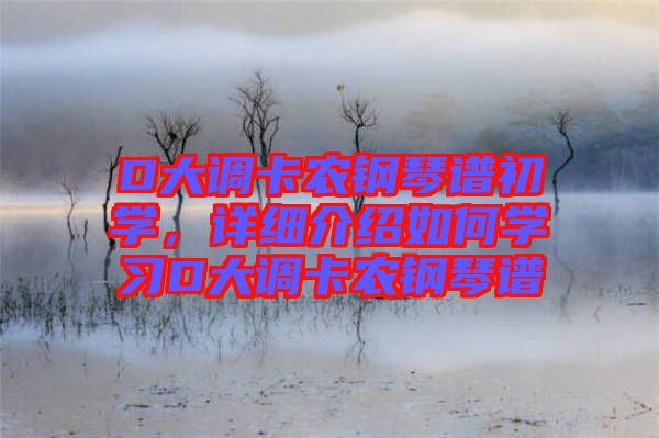 D大調(diào)卡農(nóng)鋼琴譜初學(xué)，詳細(xì)介紹如何學(xué)習(xí)D大調(diào)卡農(nóng)鋼琴譜