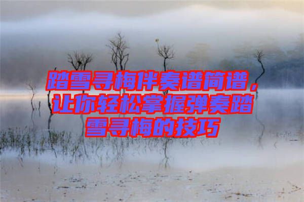 踏雪尋梅伴奏譜簡(jiǎn)譜，讓你輕松掌握彈奏踏雪尋梅的技巧