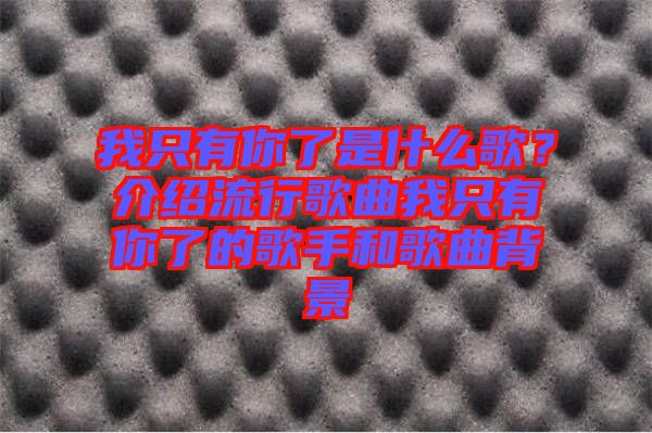 我只有你了是什么歌？介紹流行歌曲我只有你了的歌手和歌曲背景