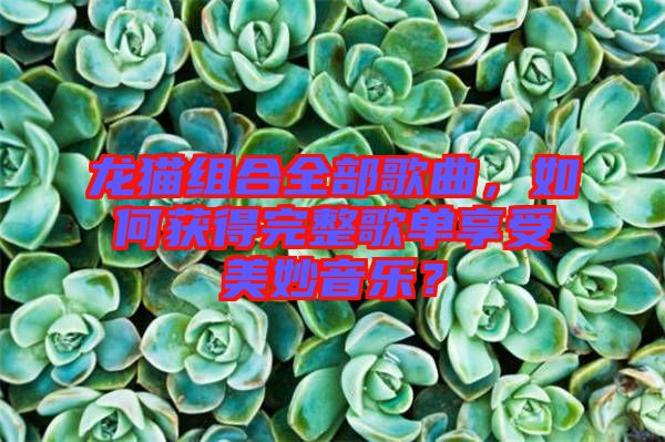 龍貓組合全部歌曲，如何獲得完整歌單享受美妙音樂？