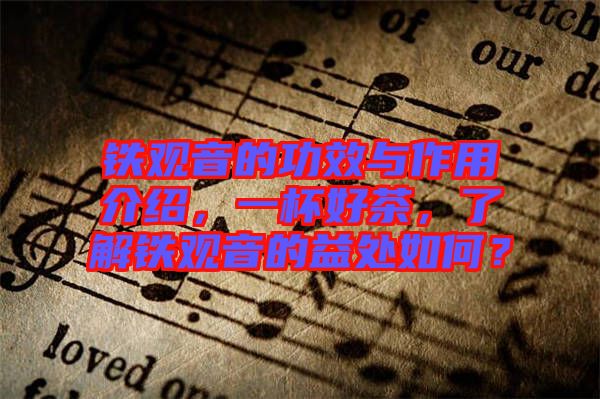 鐵觀音的功效與作用介紹，一杯好茶，了解鐵觀音的益處如何？