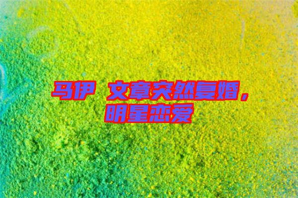 馬伊琍文章突然復婚，明星戀愛
