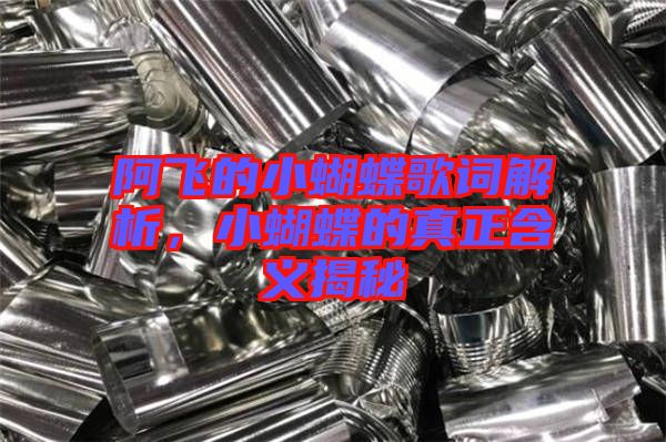阿飛的小蝴蝶歌詞解析，小蝴蝶的真正含義揭秘