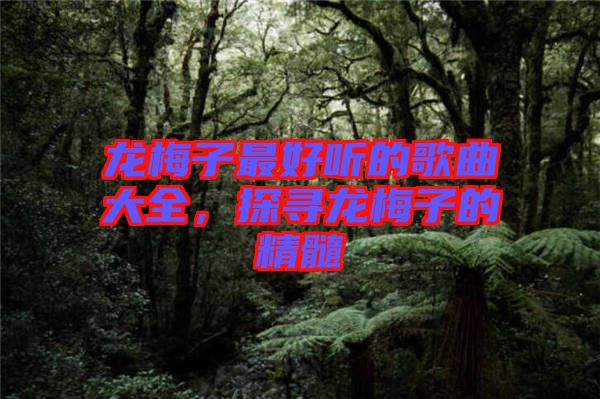 龍梅子最好聽的歌曲大全，探尋龍梅子的精髓