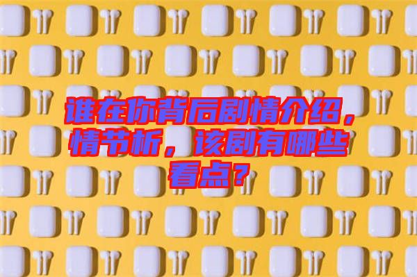 誰在你背后劇情介紹，情節(jié)析，該劇有哪些看點(diǎn)？