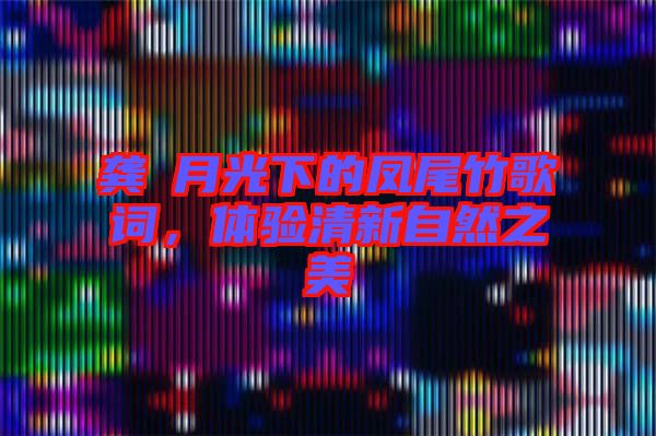 龔玥月光下的鳳尾竹歌詞，體驗(yàn)清新自然之美