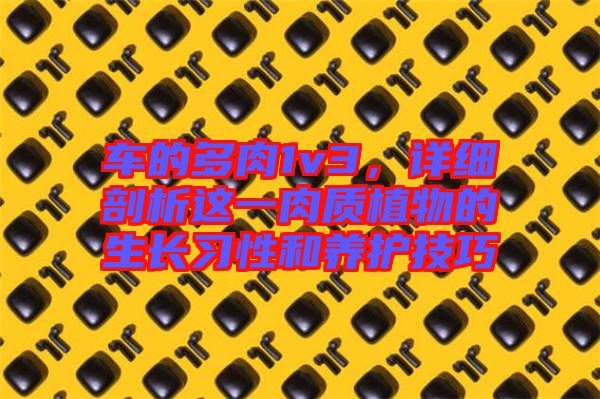 車(chē)的多肉1v3，詳細(xì)剖析這一肉質(zhì)植物的生長(zhǎng)習(xí)性和養(yǎng)護(hù)技巧
