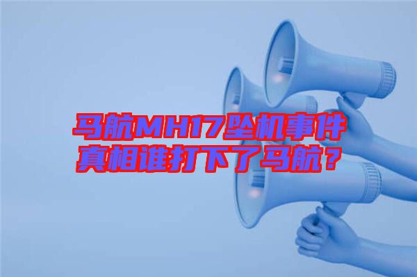 馬航MH17墜機事件真相誰打下了馬航？