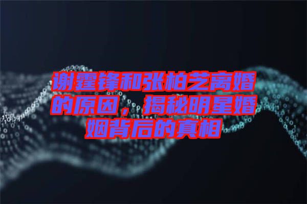 謝霆鋒和張柏芝離婚的原因，揭秘明星婚姻背后的真相