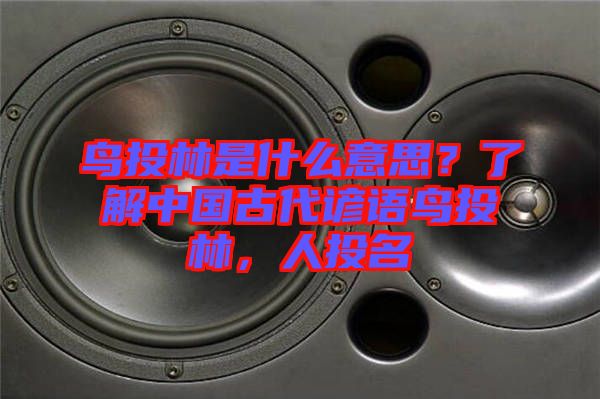 鳥投林是什么意思？了解中國古代諺語鳥投林，人投名