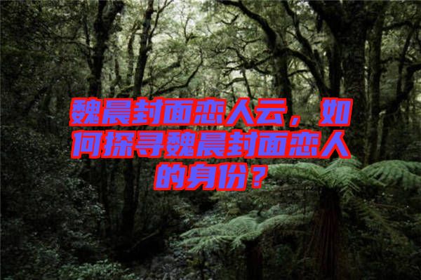 魏晨封面戀人云，如何探尋魏晨封面戀人的身份？