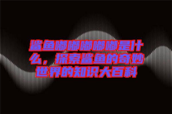 鯊魚嘟嘟嘟嘟嘟是什么，探索鯊魚的奇妙世界的知識大百科