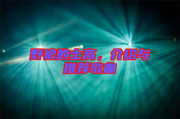 野狼的士高，介紹與推薦歌曲