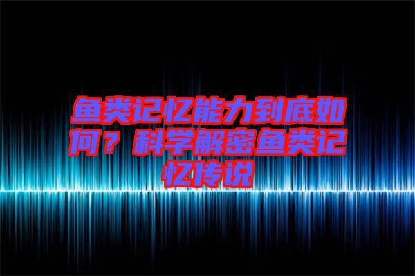 魚類記憶能力到底如何？科學(xué)解密魚類記憶傳說
