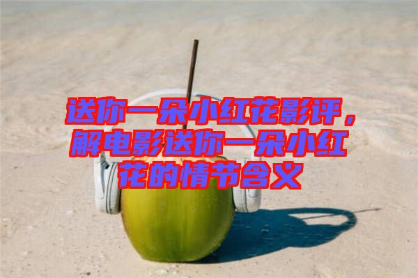 送你一朵小紅花影評(píng)，解電影送你一朵小紅花的情節(jié)含義