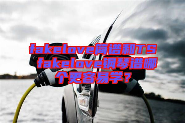 fakelove簡(jiǎn)譜和TS fakelove鋼琴譜哪個(gè)更容易學(xué)？